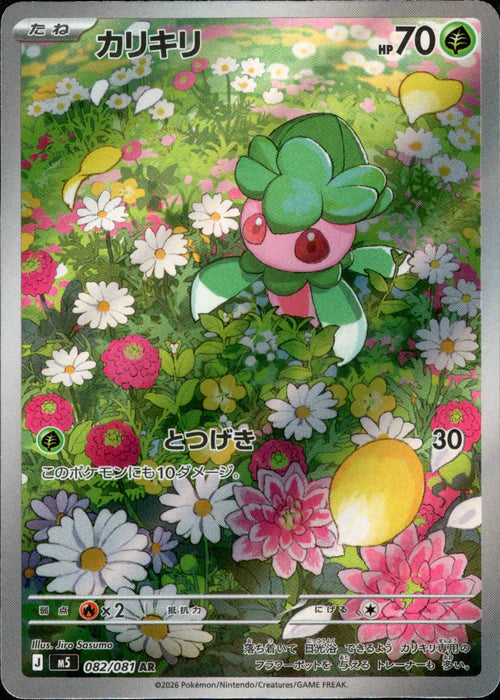 カリキリ M5 082/081 AR