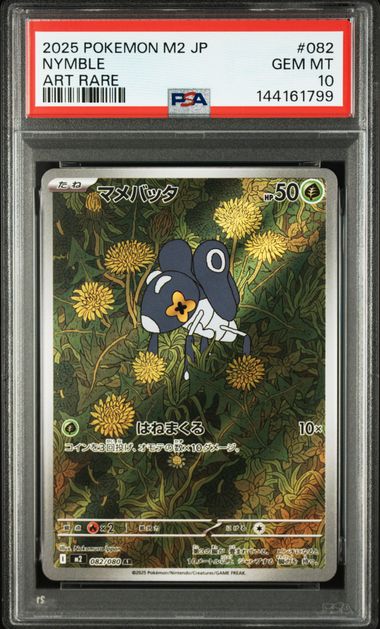 マメバッタ PSA10 M2 082/080 AR